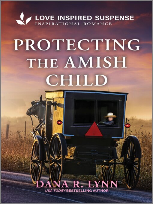 Title details for Protecting the Amish Child by Dana R. Lynn - Available